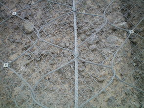 重庆厂家供应边坡防护网 主动被动山体防护网 钢丝绳护坡网